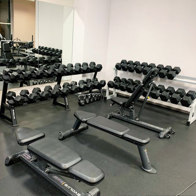 Flat Bench - Evolve Fitness PR-201