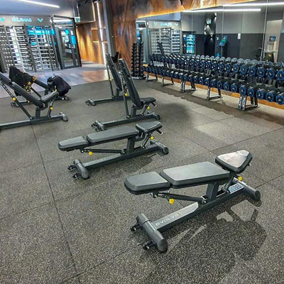 Banc de musculation réglable - Banc réglable Evolve Fitness PR-204