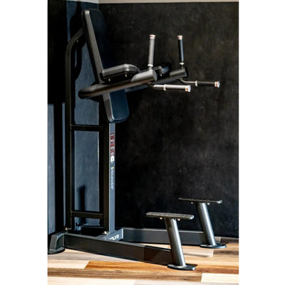 Dip-Station – Evolve Fitness PR-215