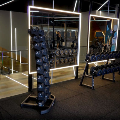 Support de rangement vertical pour haltères - Evolve Fitness VR-100