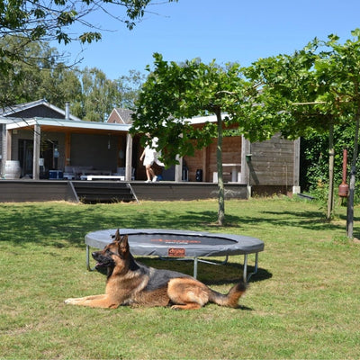 Avyna Pro-Line opbouw trampoline rond (Ø200 cm) - grijs - met gratis afdekhoes