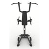 Power Tower Dip- und Pull-Station – Evolve Fitness PR-219