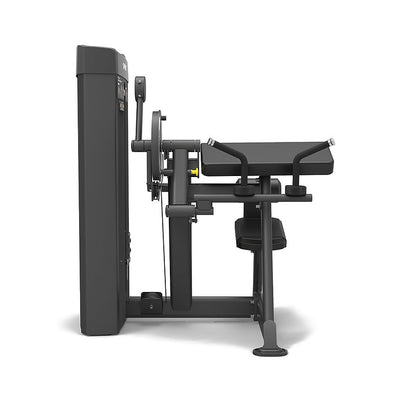 Dual Biceps Curl / Triceps Extension Machine - Steekgewichten - Spirit Fitness SP-4607