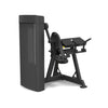 Dual Biceps Curl / Triceps Extension Machine - Steekgewichten - Spirit Fitness SP-4607