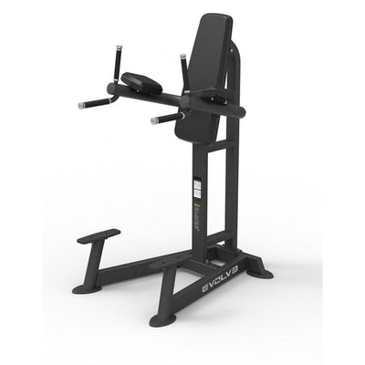 Dip Station - Evolve Fitness PR-215 Dip- & Pull-up Station